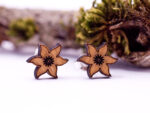 01symbol edelweiss